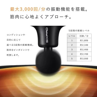【数量限定】シックスパッド パワーガン